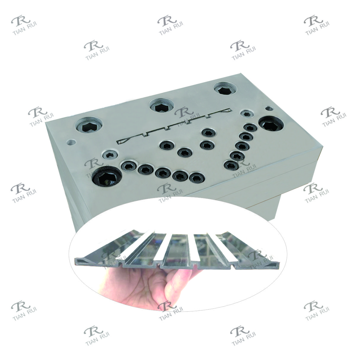 ABS Plastic profile Extrusion Mould