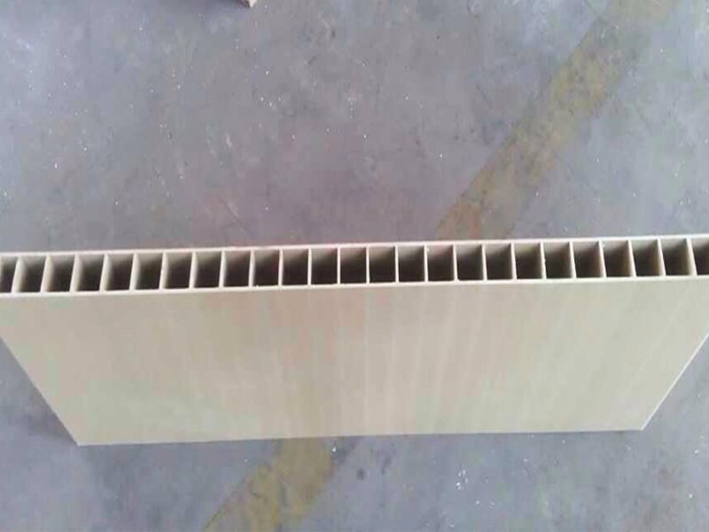100mm 200mm WPC Door panel Molding Machine Profile Extrusion Mould